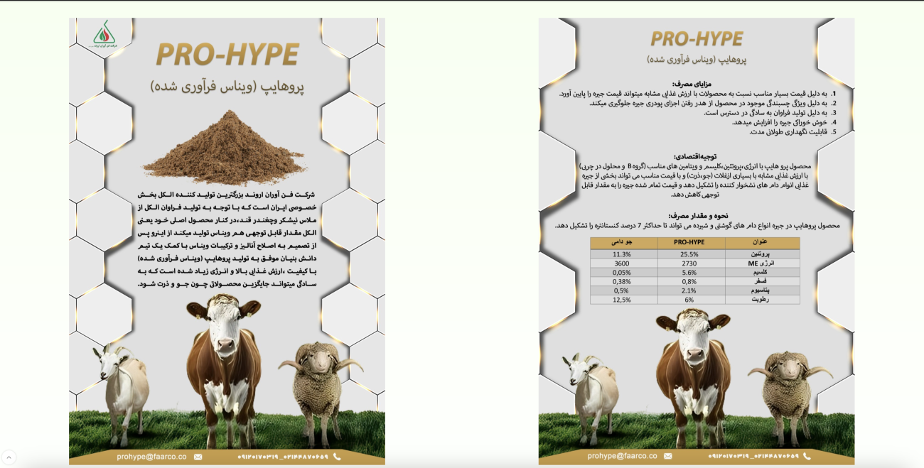 طراحی سایت شرکتی